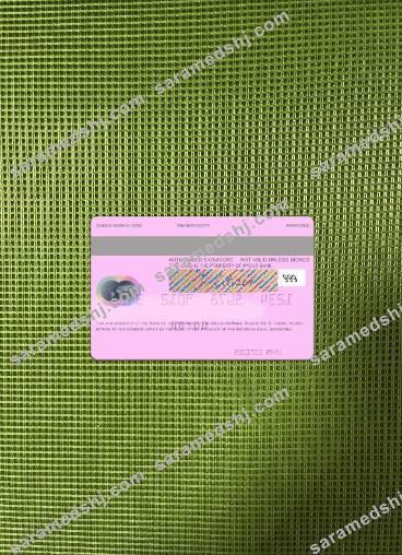 Argentina Bank of the Province of Buenos Aires mastercard photolook back